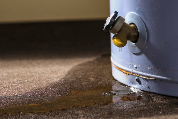 Water damage restoration process in TN