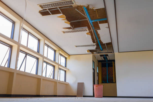 Best Professional water damage repair  in Farragut, TN