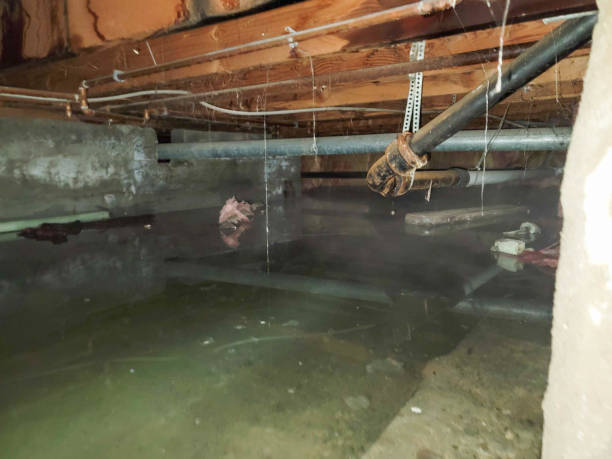 Best Commercial water damage restoration  in Farragut, TN