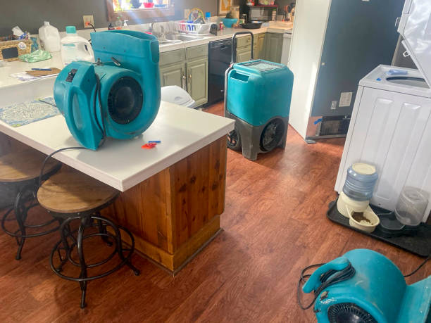 Best 24/7 water damage repair  in Farragut, TN