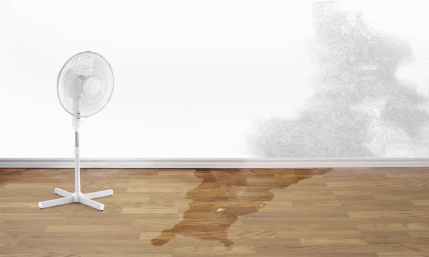Best Ceiling water damage repair  in Farragut, TN