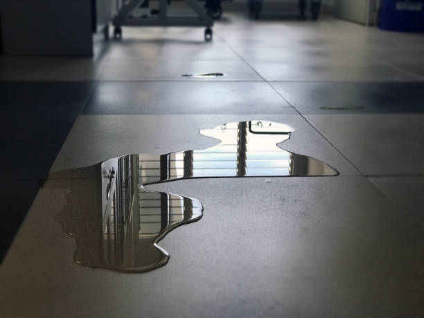 Best Water damage mitigation services  in Farragut, TN