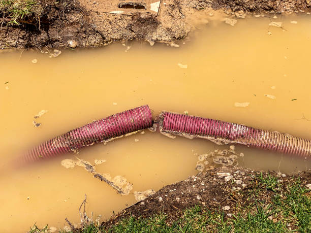 Best Water damage cleanup near me  in Farragut, TN