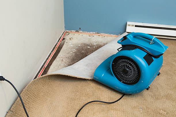 Best Flooded house restoration  in Farragut, TN